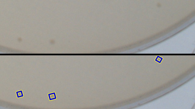 Poorly contrasted <i>E. coli</i>i> plate