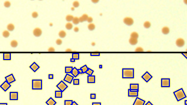 High density <i>S. aureus</i>i> plate